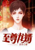 至尊龙婿叶辰萧初然目录