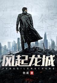 风起龙城是什么类型