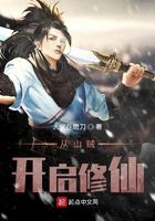 从山贼npc