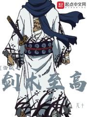 海贼之剑道无双全文阅读