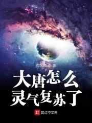 大唐用什么灵饰