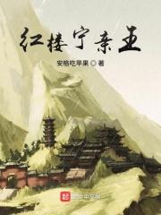红楼宁府姑娘txt