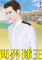 世界的球王是谁