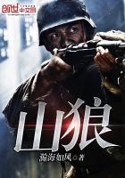 山狼海贼在线阅读